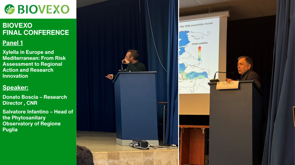 Image depicts members of panel 1, Mr. Donato Boscia, Director of Research at CNR, and Mr. Salvatore Infantino, Head of the Phytosanitary Observatory of the Region Puglia.