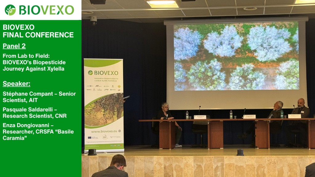 Image depicts members of Panel 2, Mrs. Enza Dongiovanni, Researcher at CRSFA "Basile Caramia", Mr. Stephane Compant, Senior Scientist at AIT and Mr. Pasquale Saldarelli, Reserach Scientist at CNR.