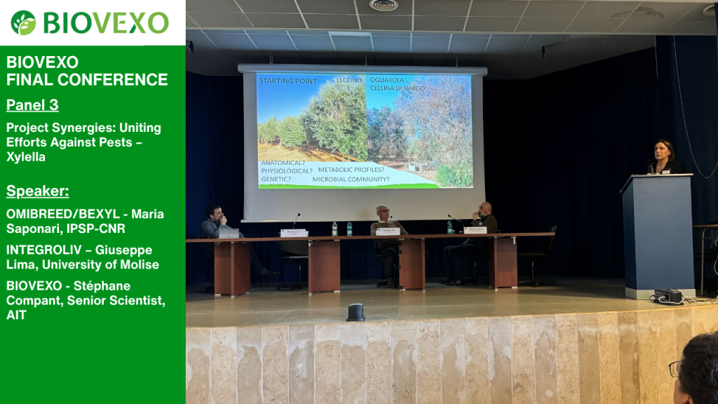 Image depicts member of Panel 3, Mrs. Maria Saponari presenting the project OMIBREED.